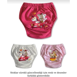 Çocuk Tuvalet Alıştırma Külodu 3'lü Set
