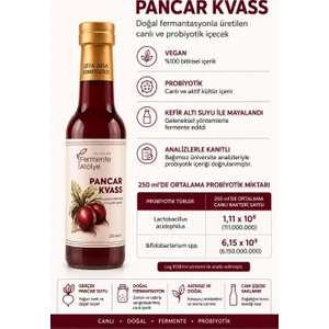 Pancar Kvass (250ML.) Cam Şişede