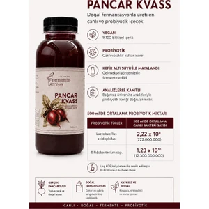 Şifa Ana Pancar Kvass (500 ml.) (Pet Şişede)