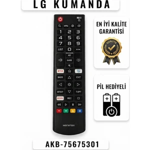 Lg Kumanda AKB-75675301