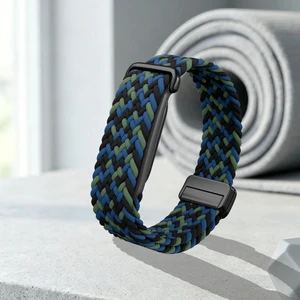 Google Fitbit Air Kordon Magnet Örgü Strap
