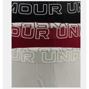 Under Armour Erkek Ua Performance Cotton 6" 3'lü Boxer