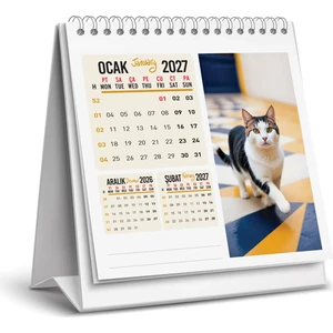 Naturel Basım 2027 Kedi Masa Takvimi