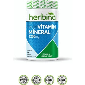 Multivitamin Mineral 200 Tablet