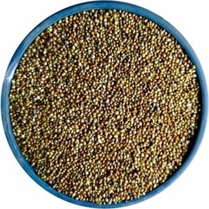 Die Grup Whiskas Pouch Pure Delight Jöle Içinde Tavuklu ve Hindili Yavru Kedi Konservesi 4X85 gr görsel 2