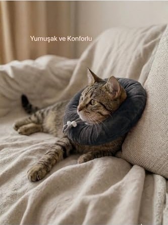 Esranın Dünyası Garden Mix Kedi Kremasi Xxl Somon+Ördek 15GR*24 görsel 3