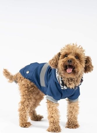 Odea Indigo Köpek Yağmurluğu KY-101 (Medium)
