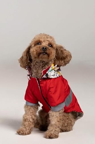 Odea Köpek Yağmurluğu Kırmızı NON300 (Large)