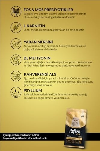Die Grup Plus Persian Yavru Kedi Si 1.5 kg görsel 4