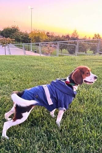 Frefly Store Indigo Köpek Yağmurluğu KY-101 (Medium) görsel 4