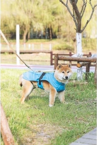 Prime Dog Raın Coat Yağmurluk (M) görsel 2