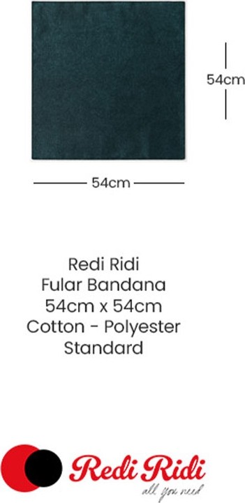 Redi Ridi Fular Bandana Paisley Mavi görsel 3