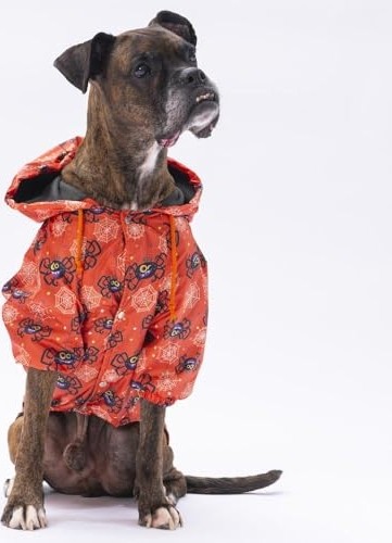 Spider Köpek Mont Köpek Kıyafeti Köpek Yağmurluğu(Kücük- Büyük Irklar) 6xl görsel 3
