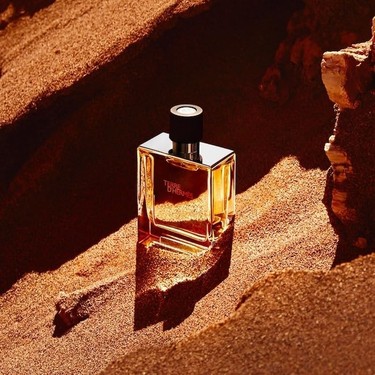 Hermes Terre D'hermes Parfum EDP Erkek Parfüm 200 ml Fiyatı
