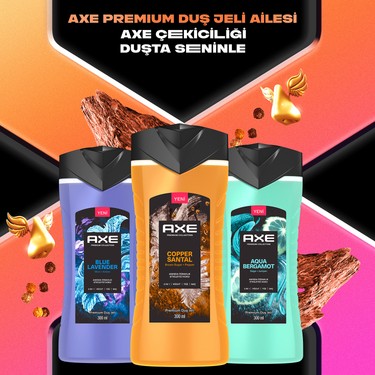 Axe Premium Collection Duş Jeli Copper Santal 3 In 1 Vücut Fiyatı