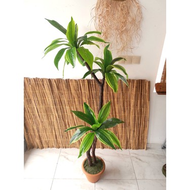 Yeşilada Yapay Kılıç Ağacı 1.60 mt Boy Yuka Yucca Ağacı Fiyatı