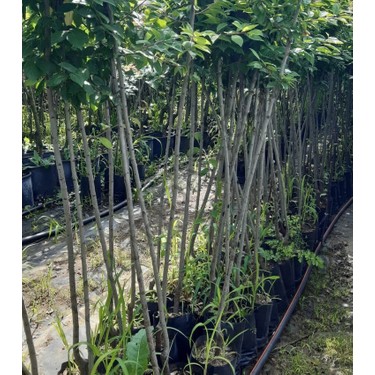 Hayotiy olchamdagi erotika Rossiyada mast talaba porno