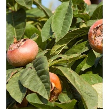 Yashirin kamera teginish dick massaji Porno qotil 2