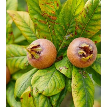 Turkiya turk ayollari tukli mushuk Turkiya turk ayollari tukli mushuk