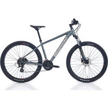 Bianchi Magma 29.1 Altus 29'' 24V Hd Dağ Bisikleti - Gümüş Fiyatı