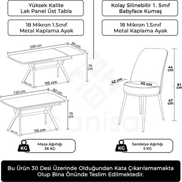 Canisa Poy Serisi 89X150 Açılabilir Lak Panel Antrasit Ironi Fiyatı