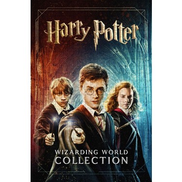Jeronkarji Harry Potter Collection Film Posterinin 500 Parça Fiyatı