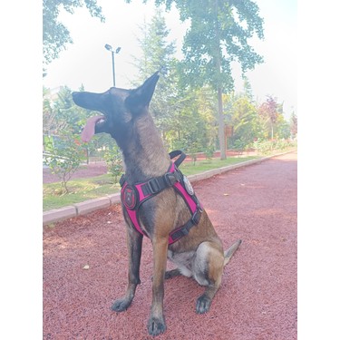 Pochtada virtual jinsiy aloqa