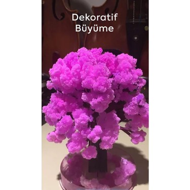 Mercan Hediyelik Sihirli Japon Sakura Ağacı Fiyatı