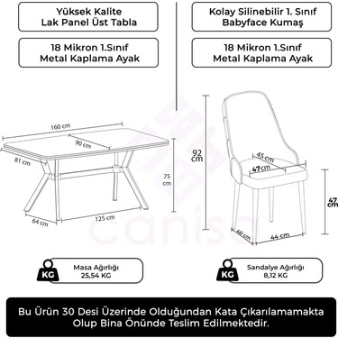 Canisa Asel Serisi 90 x 160 cm Lak Panel Antrasit Ironi Krom Fiyatı