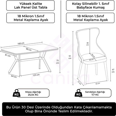 Canisa Esla Serisi 90X160 Lak Panel Antrasit Ironi Gold Fiyatı