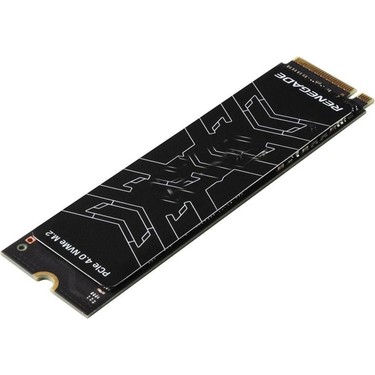 Kingston Renegade 2 TB Nvme GEN4 7300/7000 MB/S SRNGD/2000G Fiyatı