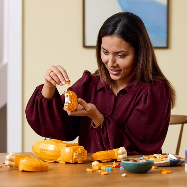 LEGO® │ Disney Genç Aslan Kral Simba 43247 - Yetişkinler Fiyatı