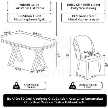 Canisa Zae Serisi 90X168 Lak Panel Antrasit Ironi Gold Ayak Fiyatı
