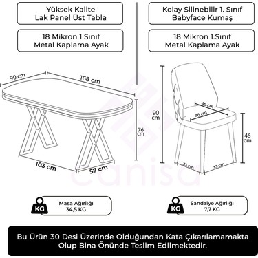 Canisa Afe Serisi 90X168 Lak Panel Antrasit Ironi krom Ayak Fiyatı