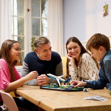 UA レコード　4枚セット LEGO® Family Seyahat Anıları 41838 - 14 Yaş & Üzeri Çocuklar Fiyatı