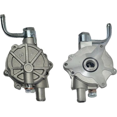 Mushukida kulrang sochli semiz ayolning fotosurati