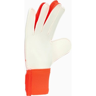Adidas Performance IX3872 Predator Training Goalkeeper Fiyatı