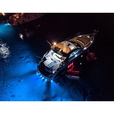 Bluefin Led Bluefin LED Piranha P6CC High Power Su Altı Fiyatı