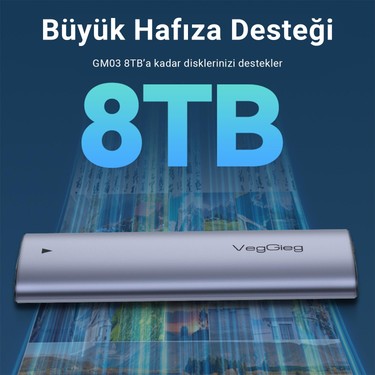VegGieg 10GBPS USB 3.1 Gen2 M.2 Sata Ngff Nvme SSD Disk Fiyatı