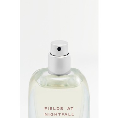 Blush Perfume Fields At Nightfall Fields At Nightfall Intense Zara