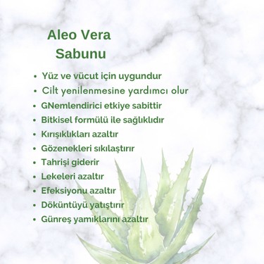 aloe vera pflege creme 3 St.x 150 ml Elina Aloe Vera Pflegecreme in Dose Gesichtcreme – Jascana main image 0