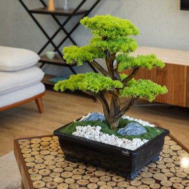 BONSAI出品 Atlas Bonsai-6 Masaüstü Kullanıma Uygun Doğal Ağaç Gövdeli Fiyatı