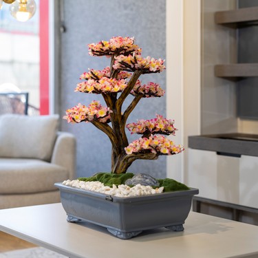 Atlas Bonsai-2 Masaüstü Kullanıma Uygun Doğal Ağaç Gövdeli Fiyatı