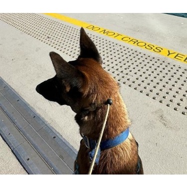 Jinsiy aloqadan oldin erkak qanday yuvishi kerak?