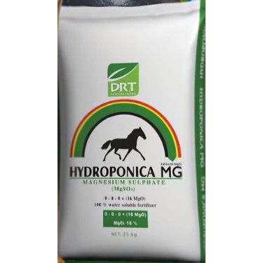 Doktor Tarsa Magnezyum Sülfat Hydroponica Bitki Fiyatı