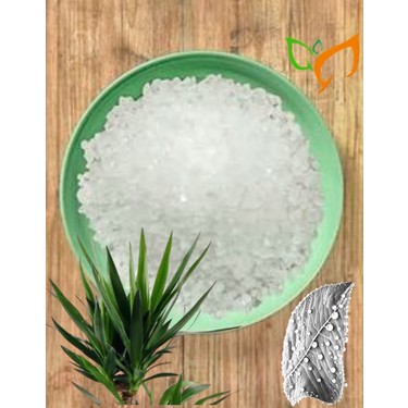 Doktor Tarsa Magnezyum Sülfat Hydroponica Bitki Fiyatı