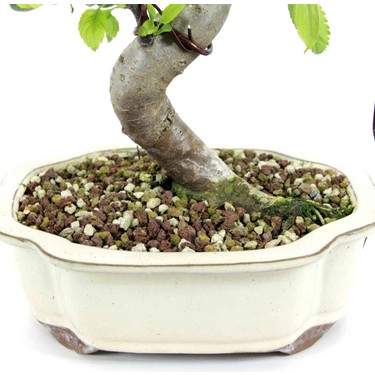 Akadamal Sper Karm Bonsai Topra TK01 (1 Litre) Fiyat