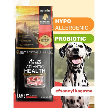 North Atlantic Health Kuzu Etli Yetişkin Köpek Maması 15kg - Fiyatı