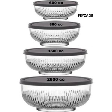 Feyzade Tokyo Saklama Kabı 4'Lü Set 2600 Cc 1500 Cc- 880 Fiyatı