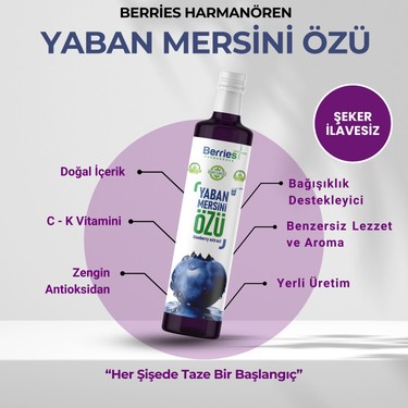..*・Berry.゜・*.゜❤︎.* Berrie's Yaban Mersini Özü 700 gr Fiyatı - Taksit Seçenekleri